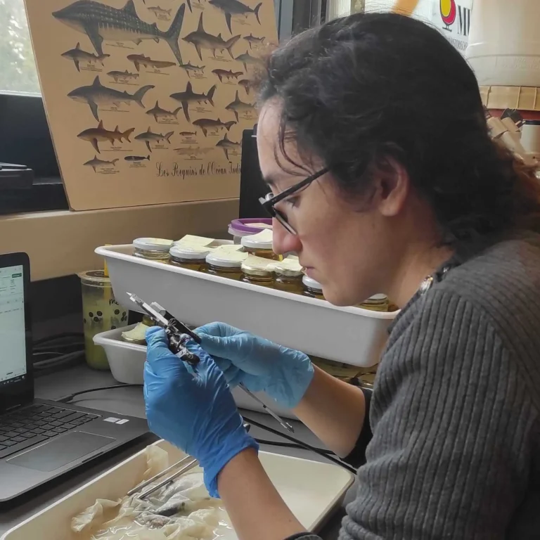 Ein Schüler verwendet einen Messschieber, um Messungen an einem konservierten Salamander-Exemplar vorzunehmen