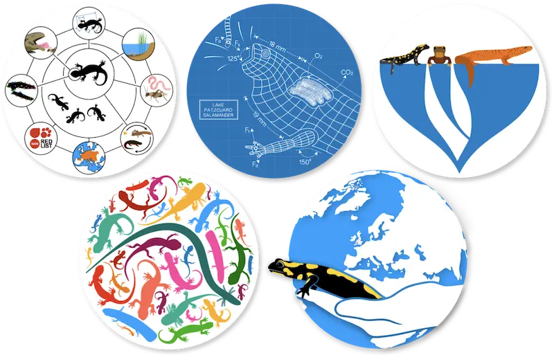 Five circular graphics combined into one illustrating the five main objectives of the project: interconnected datasets, form and function of salamanders, evolvability, biodiversity, and conservation