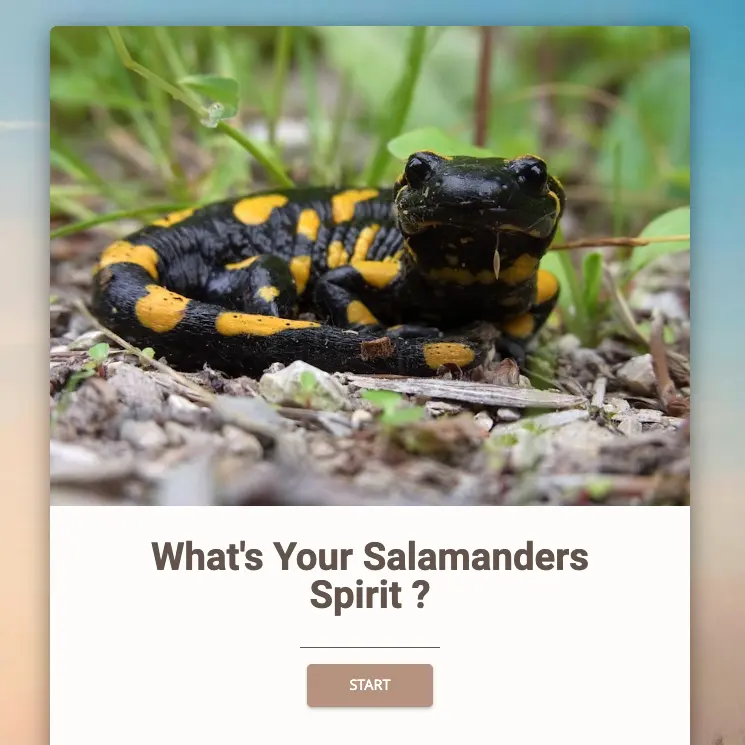 Quel est votre esprit salamandre ? quiz image vedette